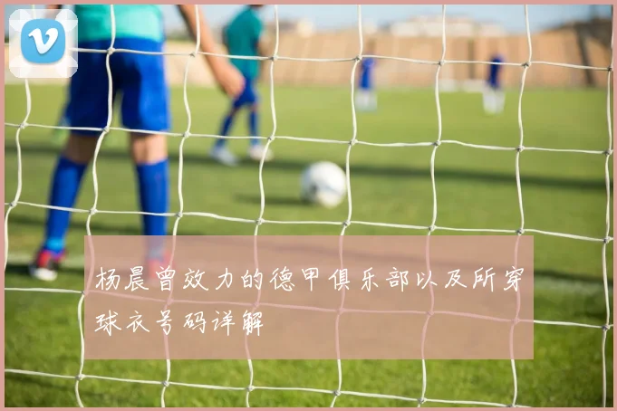 杨晨曾效力的德甲俱乐部以及所穿球衣号码详解